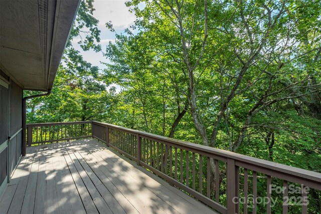 4 Galax Ln, Black Mountain, NC 28711 - photo 20