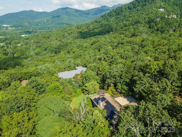 4 Galax Ln, Black Mountain, NC 28711 - photo 40