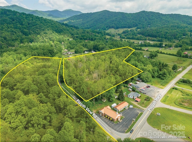 99999 Pisgah Hwy, Candler, NC 28715 - photo 1