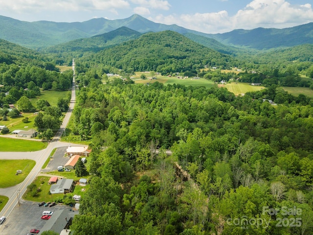 99999 Pisgah Hwy, Candler, NC 28715 - photo 4