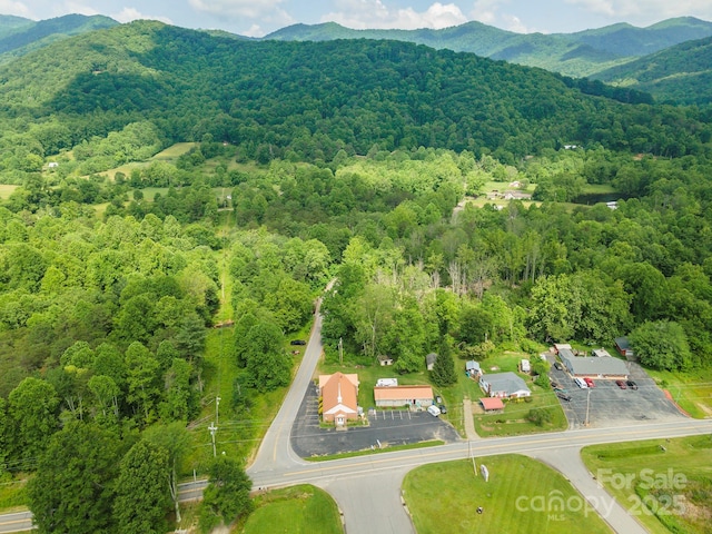 99999 Pisgah Hwy, Candler, NC 28715 - photo 5