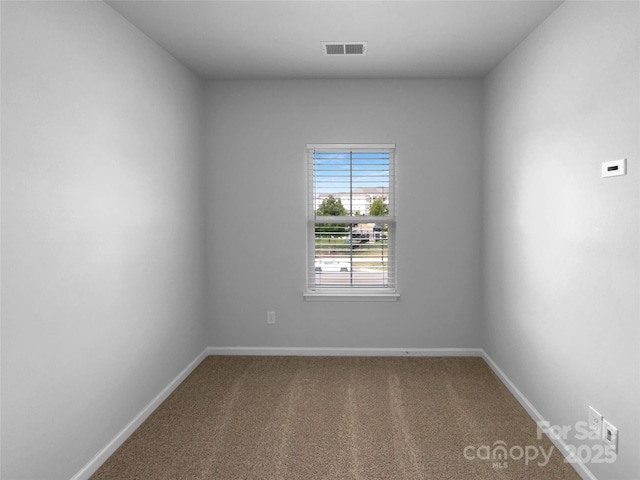 10632 Overlook Mountain Dr, Charlotte, NC 28216 - photo 17