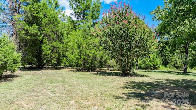 4651 Shiptontown Rd Unit 46, Denton, NC 27239 - photo 36