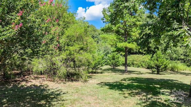 4651 Shiptontown Rd Unit 46, Denton, NC 27239 - photo 37
