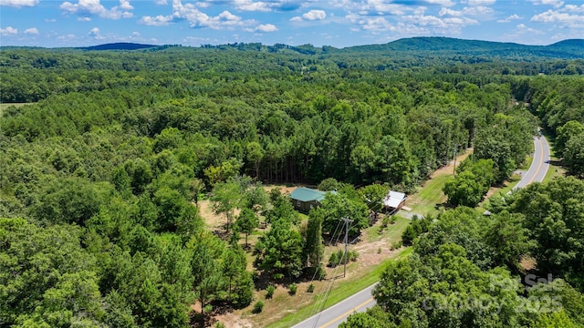 4651 Shiptontown Rd Unit 46, Denton, NC 27239 - photo 41