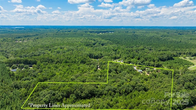 4651 Shiptontown Rd Unit 46, Denton, NC 27239 - photo 46