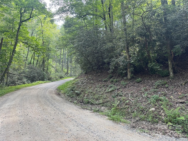00 Rich Mountain Rd, Morganton, NC 28655 - photo 2