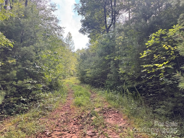 00 Rich Mountain Rd, Morganton, NC 28655 - photo 4
