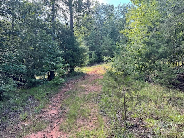 00 Rich Mountain Rd, Morganton, NC 28655 - photo 6