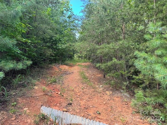 00 Rich Mountain Rd, Morganton, NC 28655 - photo 8