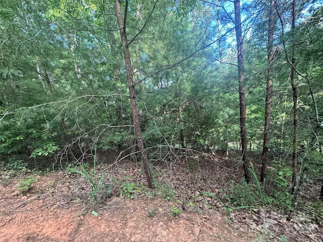 00 Rich Mountain Rd, Morganton, NC 28655 - photo 9