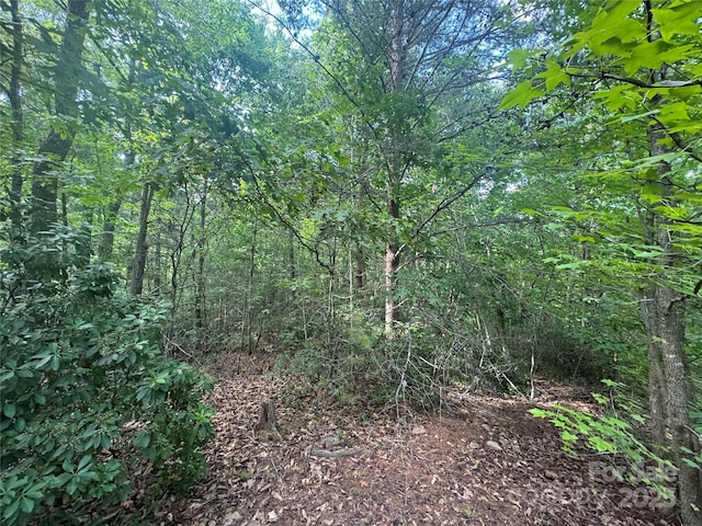 00 Rich Mountain Rd, Morganton, NC 28655 - photo 11