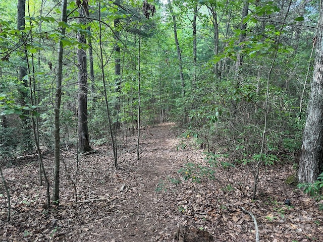 00 Rich Mountain Rd, Morganton, NC 28655 - photo 12