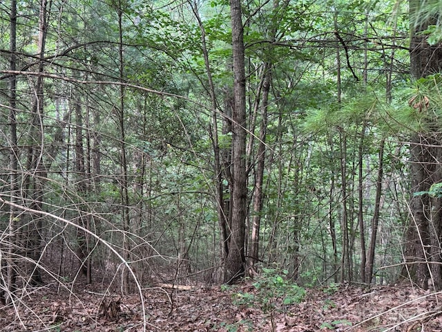 00 Rich Mountain Rd, Morganton, NC 28655 - photo 15