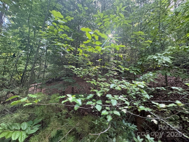 00 Rich Mountain Rd, Morganton, NC 28655 - photo 17