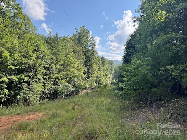 00 Rich Mountain Rd, Morganton, NC 28655 - photo 18