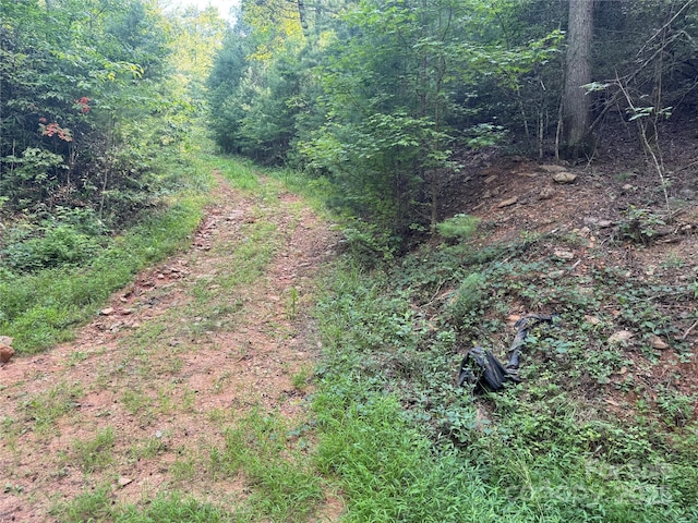 00 Rich Mountain Rd, Morganton, NC 28655 - photo 19