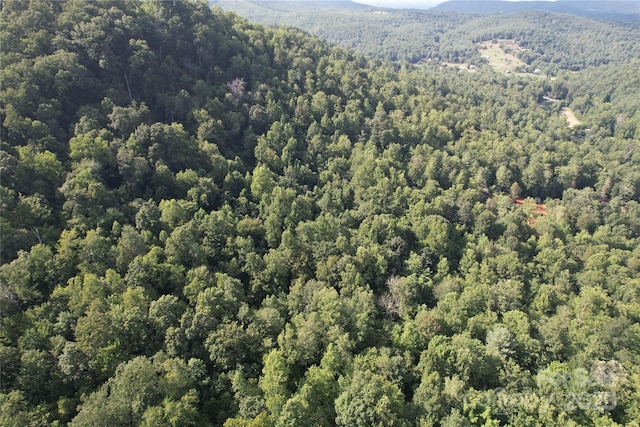 00 Rich Mountain Rd, Morganton, NC 28655 - photo 20