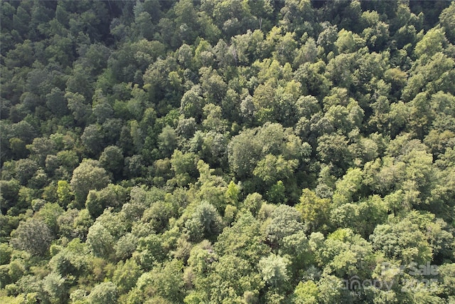 00 Rich Mountain Rd, Morganton, NC 28655 - photo 21