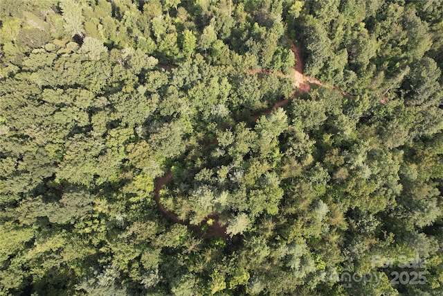 00 Rich Mountain Rd, Morganton, NC 28655 - photo 22