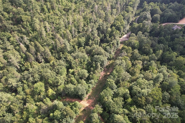 00 Rich Mountain Rd, Morganton, NC 28655 - photo 25