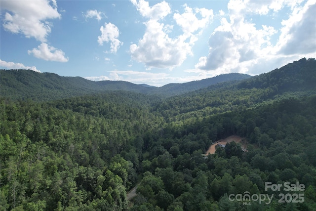 00 Rich Mountain Rd, Morganton, NC 28655 - photo 26