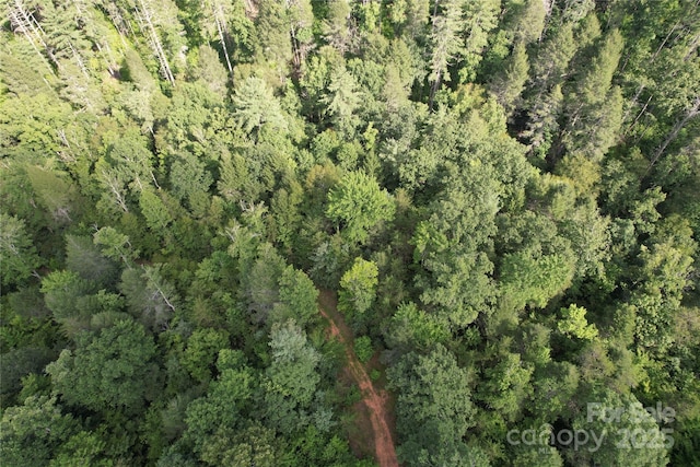 00 Rich Mountain Rd, Morganton, NC 28655 - photo 27