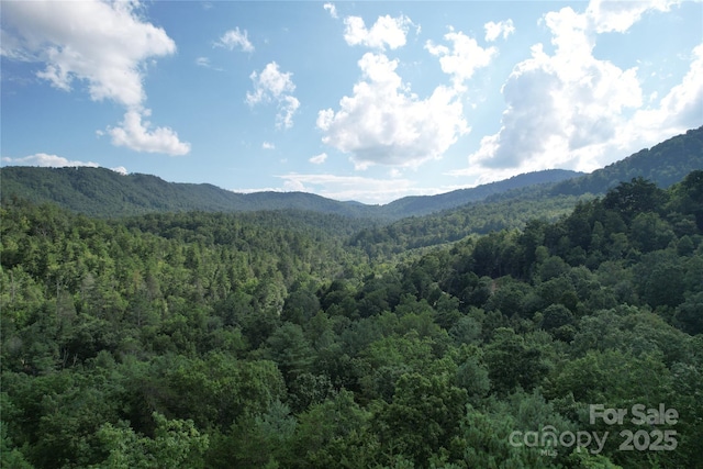 00 Rich Mountain Rd, Morganton, NC 28655 - photo 28