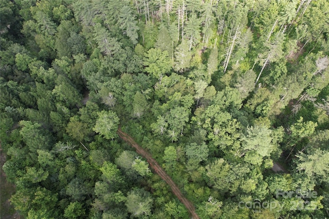 00 Rich Mountain Rd, Morganton, NC 28655 - photo 29