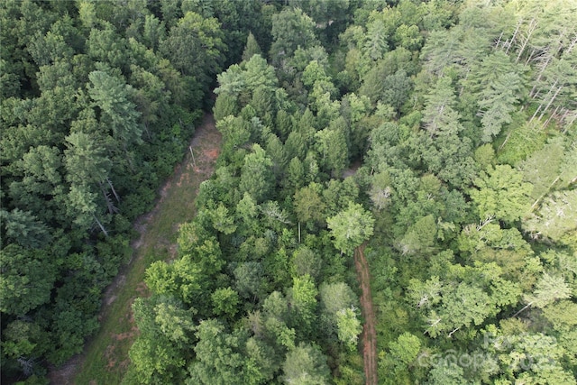 00 Rich Mountain Rd, Morganton, NC 28655 - photo 30