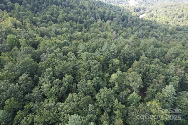 00 Rich Mountain Rd, Morganton, NC 28655 - photo 32