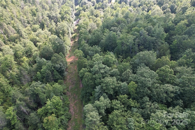 00 Rich Mountain Rd, Morganton, NC 28655 - photo 33