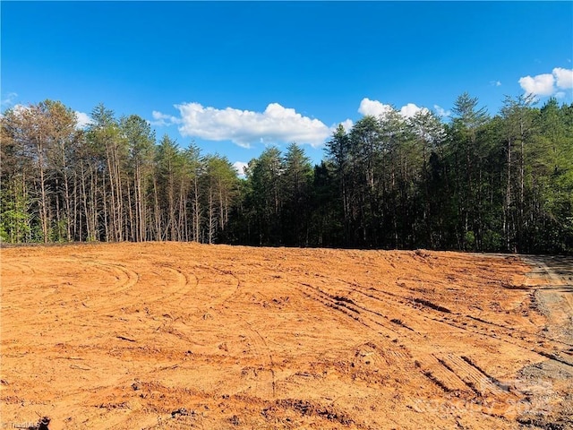 181 Patchwork Dr Unit 2, 3, Statesville, NC 28677 - photo 2