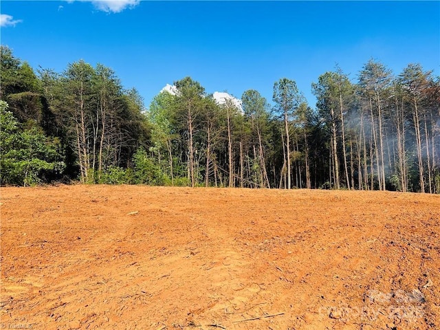 181 Patchwork Dr Unit 2, 3, Statesville, NC 28677 - photo 3