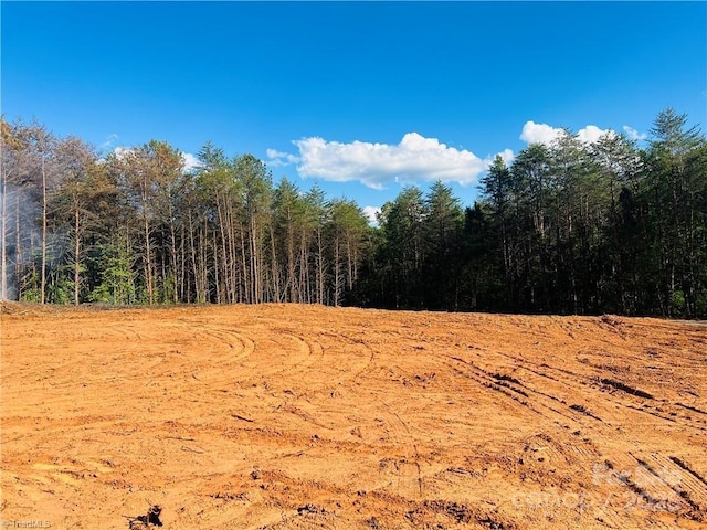 181 Patchwork Dr Unit 2, 3, Statesville, NC 28677 - photo 4
