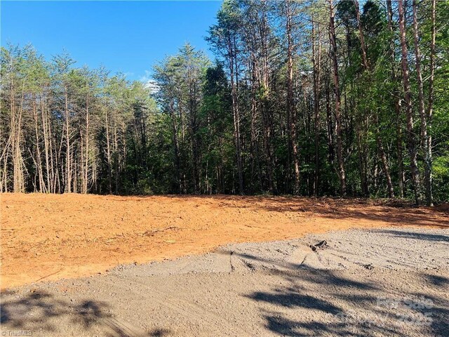 181 Patchwork Dr Unit 2, 3, Statesville, NC 28677 - photo 6