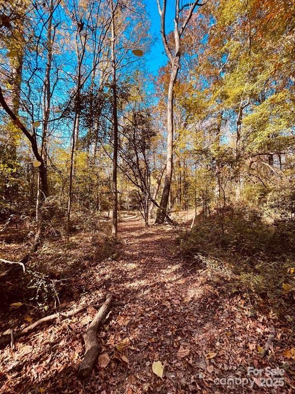000 Smyrna Church Rd, Pageland, SC 29728 - photo 4