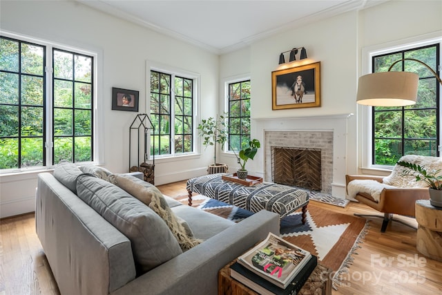 3 Lone Pine Rd, Biltmore Forest, NC 28803 - photo 6