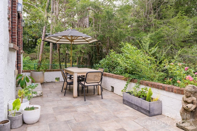 3 Lone Pine Rd, Biltmore Forest, NC 28803 - photo 28