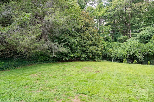 3 Lone Pine Rd, Biltmore Forest, NC 28803 - photo 30