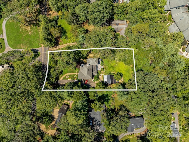 3 Lone Pine Rd, Biltmore Forest, NC 28803 - photo 46