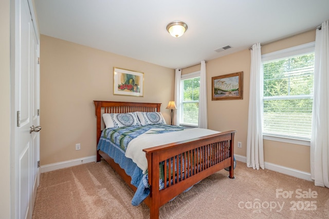 819 Coralbell Way, Tega Cay, SC 29708 - photo 19