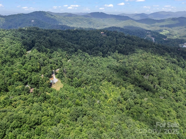 537 Summit Pkwy, Bostic, NC 28018 - photo 31