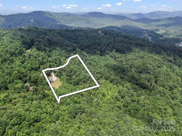 537 Summit Pkwy, Bostic, NC 28018 - photo 32