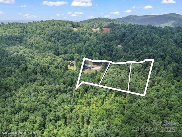 537 Summit Pkwy, Bostic, NC 28018 - photo 35