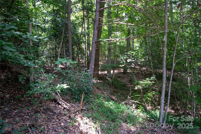 LOT110 Stoney Brook Dr Unit 110, Lenoir, NC 28645 - photo 2