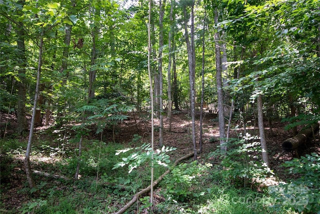 LOT110 Stoney Brook Dr Unit 110, Lenoir, NC 28645 - photo 3