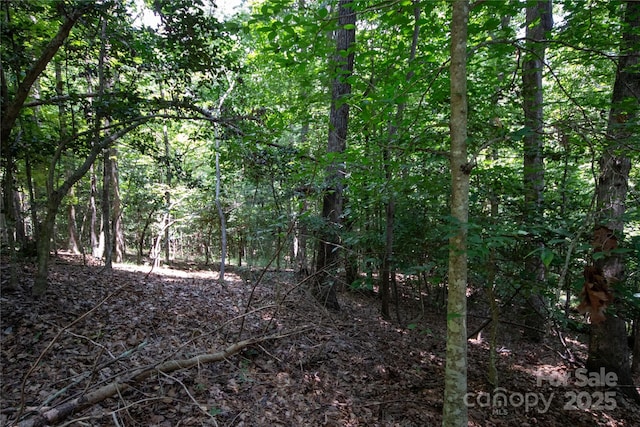LOT110 Stoney Brook Dr Unit 110, Lenoir, NC 28645 - photo 4