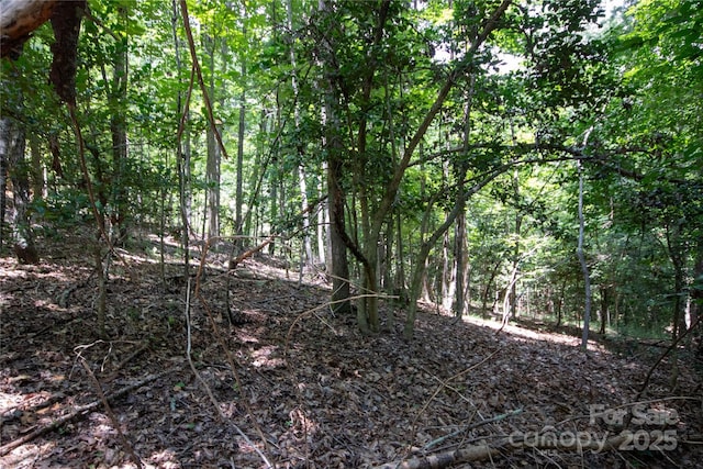 LOT110 Stoney Brook Dr Unit 110, Lenoir, NC 28645 - photo 5