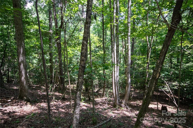 LOT110 Stoney Brook Dr Unit 110, Lenoir, NC 28645 - photo 7